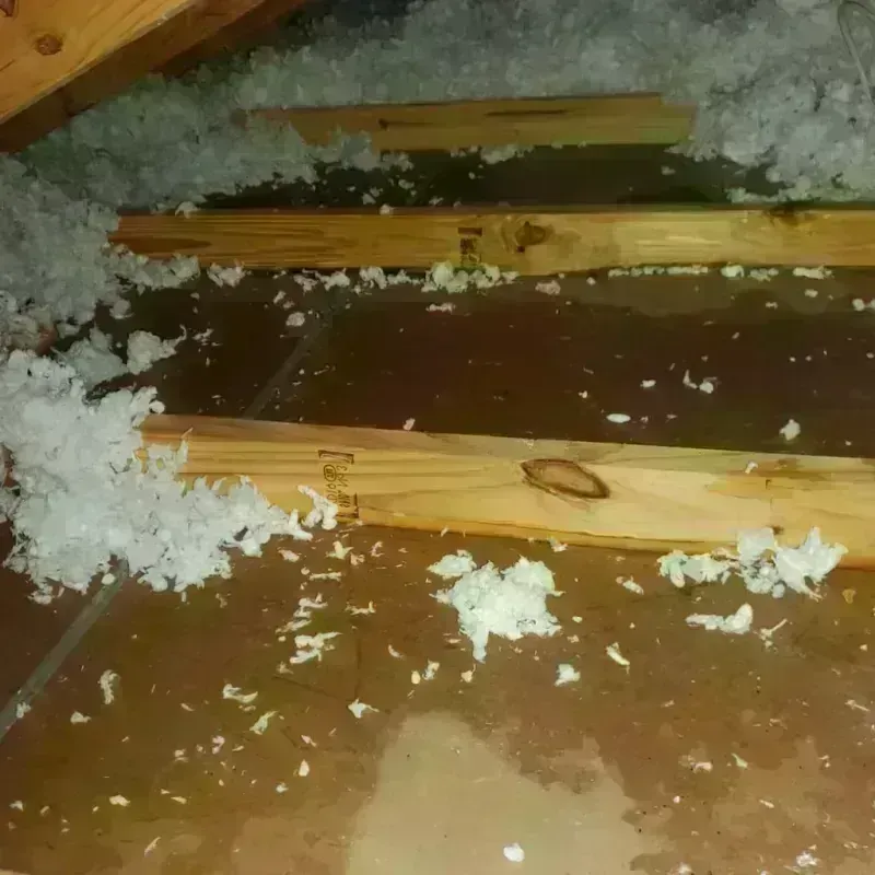 Attic Water Damage in Mount Pleasant, TN